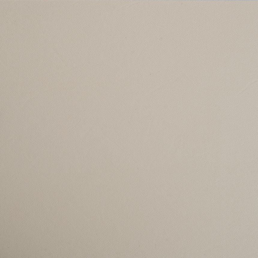 IWB Basic Model Holster