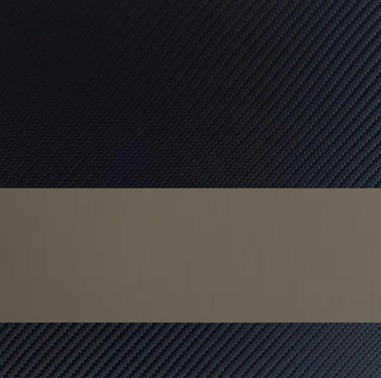 IWB Basic Model Holster