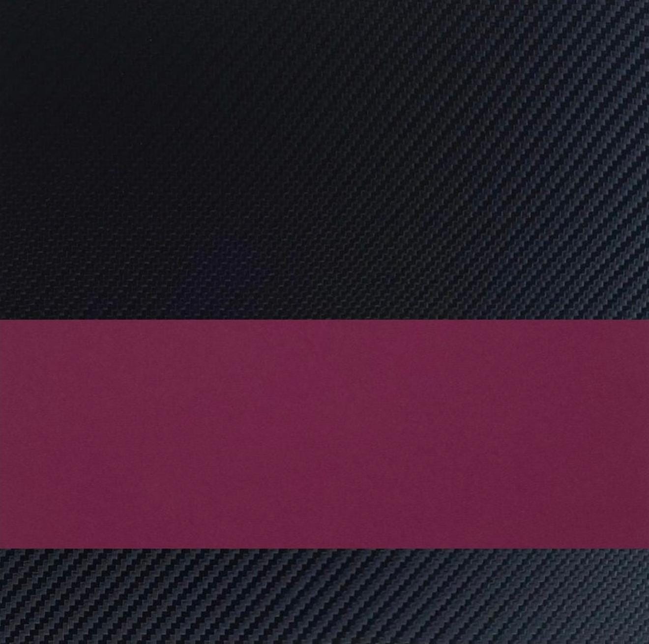 IWB Basic Model Holster