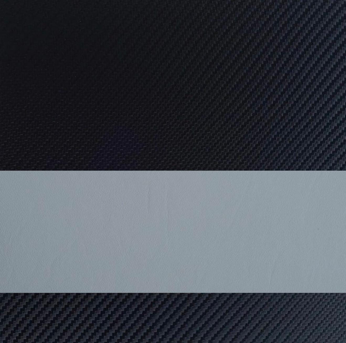 IWB Basic Model Holster