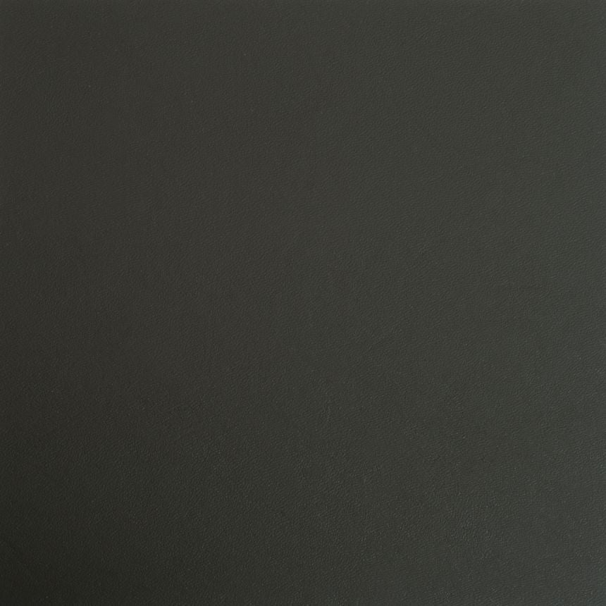 IWB Sidecar Model Holster