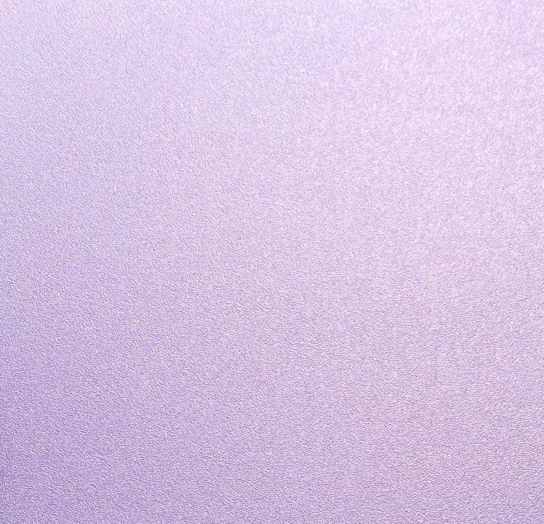 IWB Sidecar Model Holster