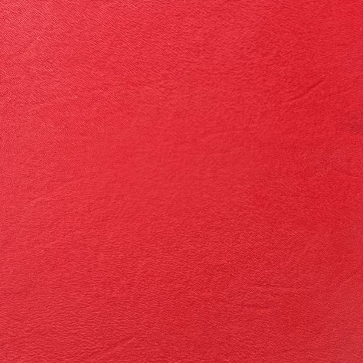 IWB Sidecar Model Holster