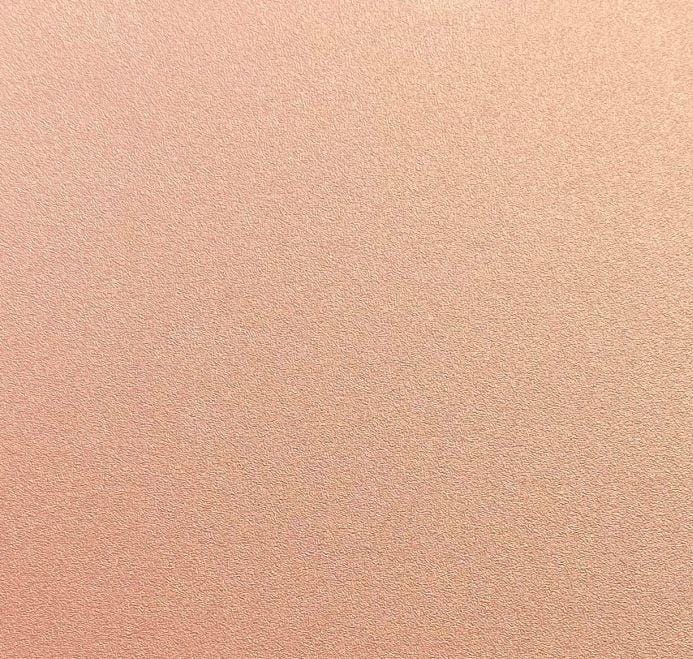 IWB Basic Model Holster