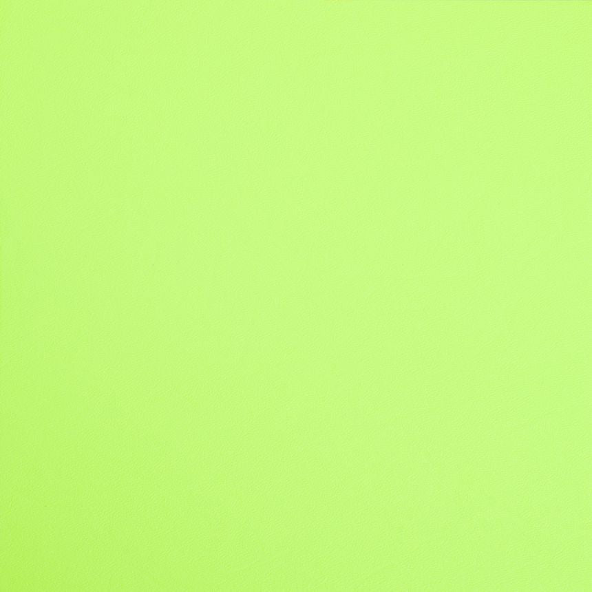 IWB Basic Model Holster